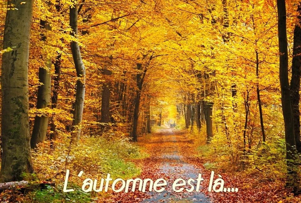 automne hypnose ludovic bottazzi caphypnose