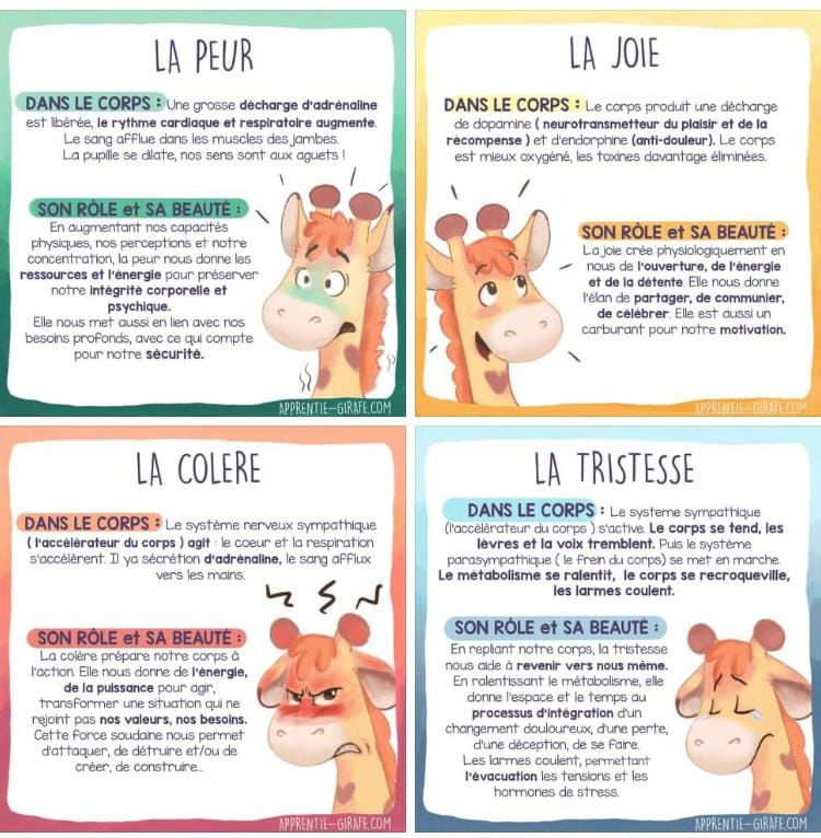 role emotions ludovic bottazzi caphypnose hypnopraticien